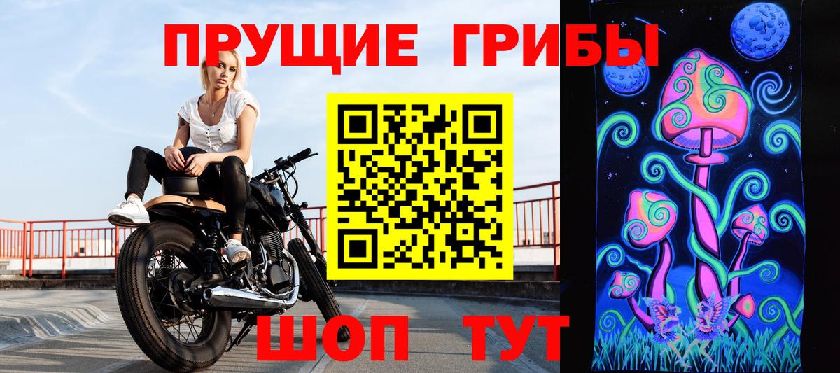 Галлюциногенные грибы GOLDEN TEACHER  Вход с VPN  Туапсе 